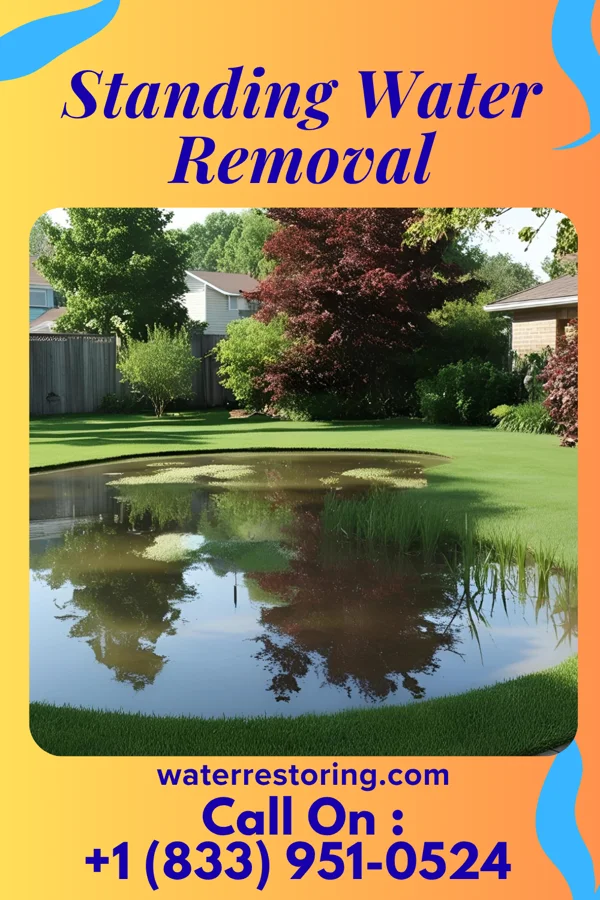 Standing Water Removal in Cramerton, NC